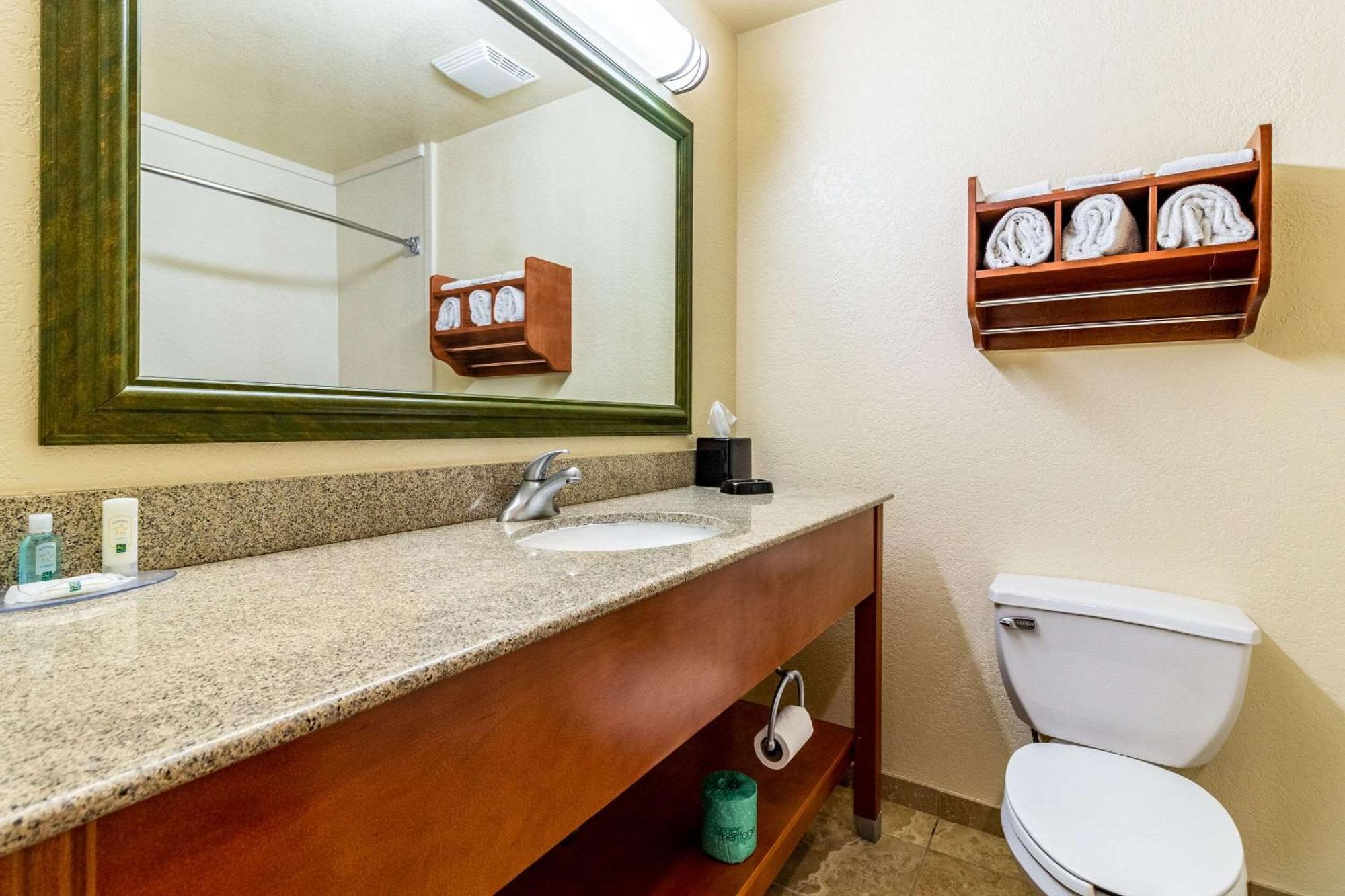 Quality Inn Texas City I-45 Extérieur photo